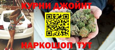 молекула духа Будённовск