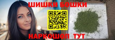 молекула духа Будённовск